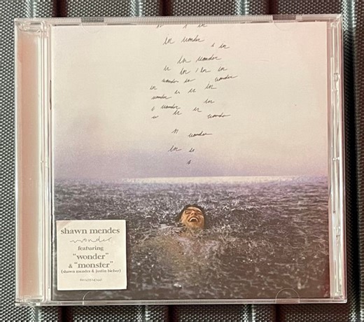 Shawn Mendes - Wonder
