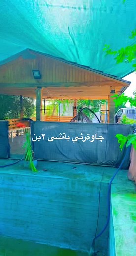 How to Paint a Swimming Pool: Step-by-Step Guide