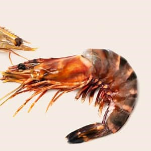 Prawn vs. Shrimp | America's Test Kitchen