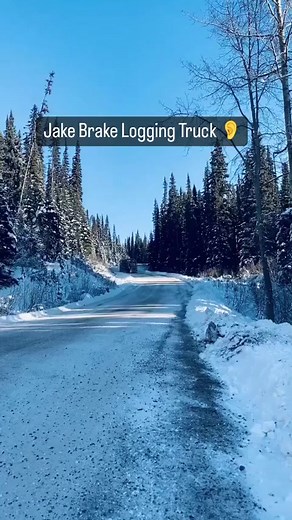 289K views · 8.7K reactions | Jake brake logging truck 凉 | American truckers | Facebook
