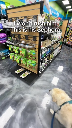 He can have whatever he wants. | Leo the Cream