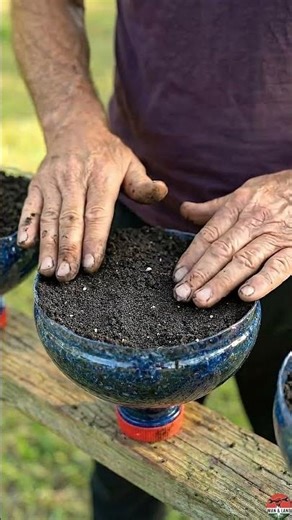 This Genius Tree Hack Grows Strawberries in the Air 🍓 #garden