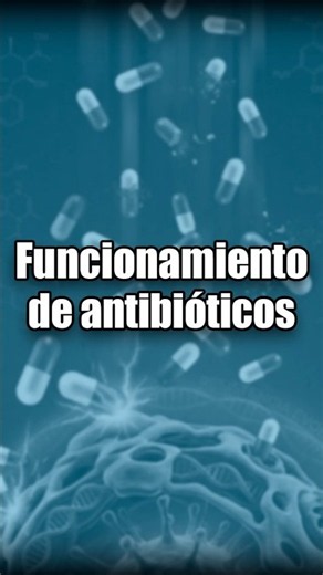 How antibiotics attack bacteria and not viruses 🎯