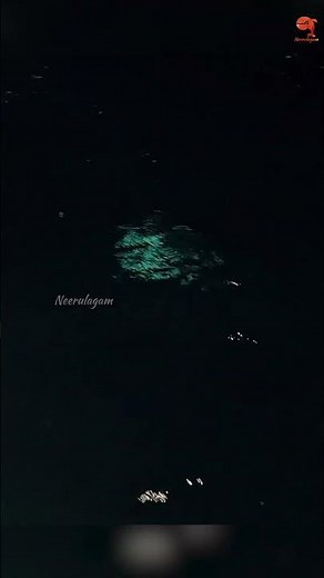 Catching King Fish Using Live Indian Scad Baits #fishing #fishingvideo #fishingtime