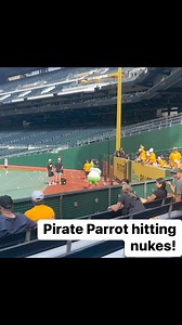 Shout out to the person inside the Pirate Parrot costume. Skills! How did he/she see these whiffle balls let alone crank them! 🫡 Pittsburgh Pirates | oneBURGH