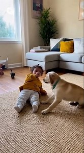 Baby Falls While Dancing… and Dog Claps! 😂👶🐶 #shorts #cute #funny
