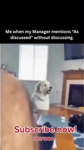 What discussed 😭 #coding #funny #subscribe #shorts