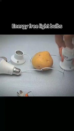 32K views · 423 reactions | We try to create something new....