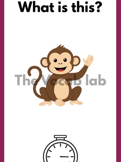 Learn English Vocabulary with Interactive Quiz