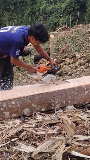 cutting trees#
