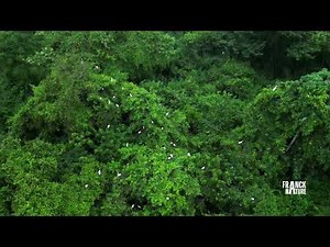 The Environment PART 1 ( PLEASE READ DESCRIPTION )