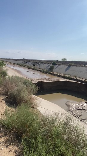 Exploring the Eroded Beauty of a Dry Riverbed