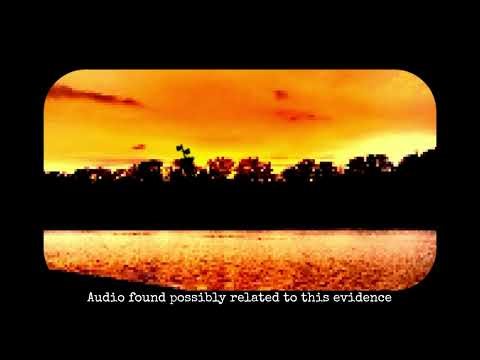 Audio found possibly related to this evidence (demonstration)