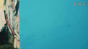 (Despacito)完整中文字幕版！