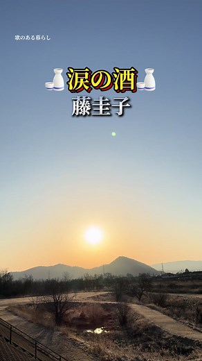 涙の酒 - 藤圭子の名曲を味わう