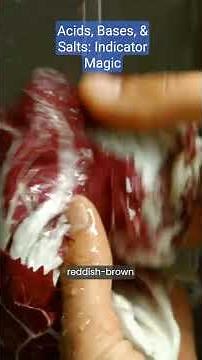 Understanding Acids, Bases & Salts: Grade 10 Science Experiments with Indicators