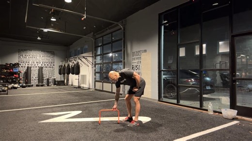 Lateral Low Hurdle Hops