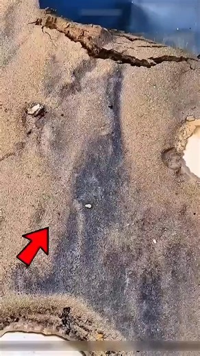 Será? #history #worldhistory #historyfacts #worldwar #culture #heritage #historylovers #historymemes #historical #ancienthistory | Historia, Leyendas Y Misterios