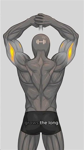 The Secret to get bigger biceps 💪💪 | Workout Videos | Gym motivation