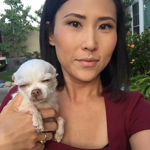 82K views · 685 reactions | Our anchors and reporters are animal lovers just like you, and at NBC Bay Area pets are family too. Adopt a new pet into your family SATURDAY at #ClearTheShelters in Berkeley! Learn more: www.nbcbayarea.com/cleartheshelters | NBC Bay Area | Facebook
