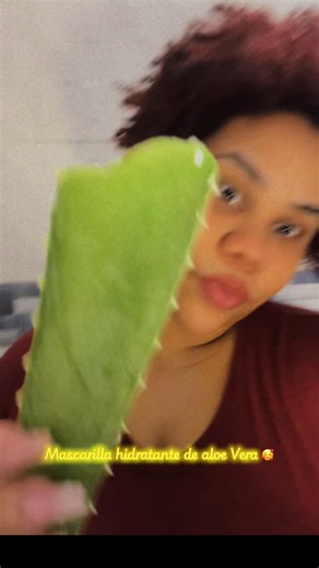 Mascarilla Hidratante de Aloe Vera para Cabello