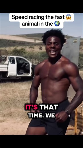 Speed Racing with the Fastest Animal on Earth