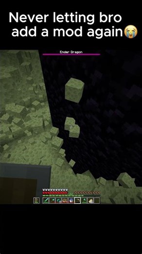 Never letting bro add mods again✌️😭