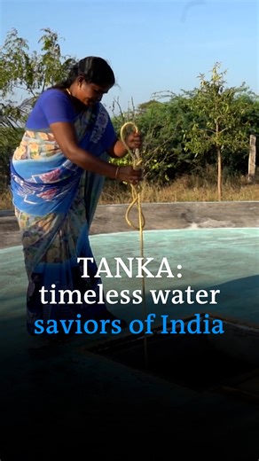 In southern India, the ancient #tanka sustains 150 families by storing up to 60,000 liters of rainwater, proving crucial in droughts and crises. | DW Environment