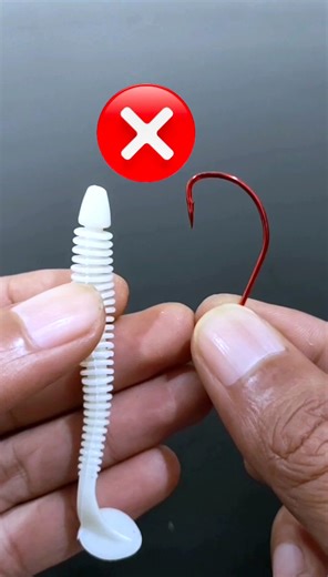 11M views · 27K reactions | Tips cara pasang soft lure yang benar | Kawan mancing | Facebook