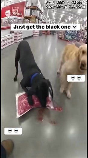 1M views · 8.6K reactions | Just get the black one #cops #funny #trend #memes #foryoupageシ #usa | RICO animation | Facebook