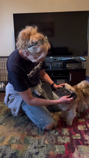 This mask is cracking me up 😂 poor wilson