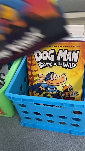 CLEANING UP MY BOOKSHELVES  | TEACHERSOFTIKTOK TIPS Tidying up my bookshelves and organizing for a fresh classroom vibe ✨粒 Follow along for easy tips and satisfying results! #mrswoolleyin5th #teachersoftiktok #school #classroomorganization #fyp #tidyclassroom #homehacks #organizationtips #viralvideo #cleanwithme | Lauran Woolley | Facebook