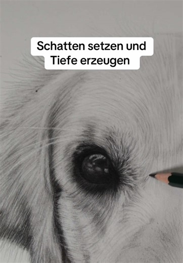 Kontraste machen Zeichnungen lebendig! 🥰 Nutze die Vielfalt der Bleistifte und arbeite in verschiedenen Tönen #zeichnenlernen #tippsundtricks #bleistiftzeichnung #realistischzeichnen