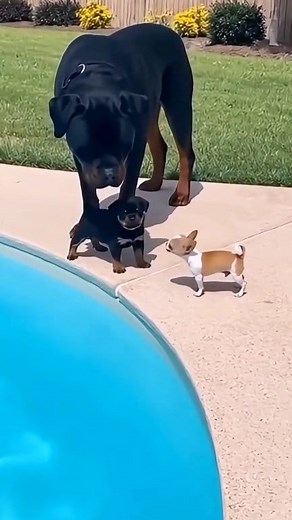 424K views · 12K reactions | My current situation with my girlfriend 藍藍藍 | Amusing Escape | Facebook