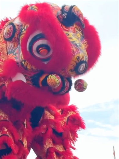 Perkumpulan Seni Tari Liong & Barongsai 🐉 - Seni Tari Naga / Liong - Barongsai - Barongsai Kids - Rampak Tambur - Wushu - Dewa Uang / Chai Sen Ye Meriahkan acara anda dari pertunjukan Seni Tari Liong & Barongsai, serta tampilan lainnya 🤗 Bisa untuk acara : - Imlek / Shincia - Cap Go Meh - Natal - Pergantian Tahun - Grand Opening - Sangjit Day - Shejit Sen / Bio - Ulang Tahun - Samkay - Prewedding - Pemberkatan - Pernikahan - Dll Contact Person : Agus / Akian 📲 089690342751 #barongsai#barongsa