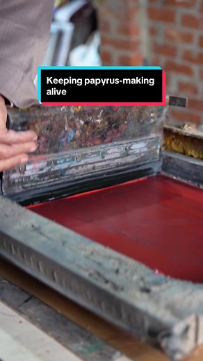 The papyrus-making industry is determined to keep this ancient tradition alive. 📜 #egypt #papyrus #papermaking