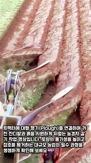 대형 쟁기로 밭을 가는 농기계 스케일 #worker #process #machinery #farming #field