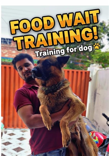 Winter Diet for Dogs #gsd #diet #GermanShepherd #supplements #breed