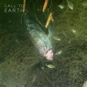 75K views · 674 reactions | 'Ghost nets' are lost or abandoned fishing tools that trap and kill sea creatures as they float in the ocean. This retired Hong Kong diver is on a mission to remove the abandoned nets, and stop them destroying the city's coastal environment: https://cnn.it/3wEJv1q #CallToEarth | CNN International | Facebook