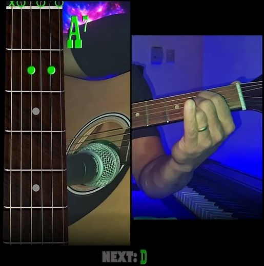Roco el Hurón | Guitarra | Acordes | Tutorial | Cover