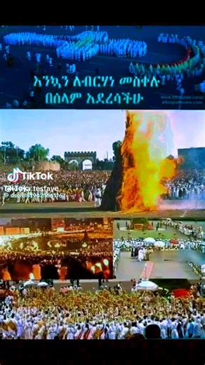 tigi (@tigisjtr2y4)’s videos with original sound - tigi