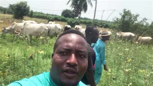 Association production végétale et animale à la ferme AVIDJA base d'Aneho. #CTOP #agbodokoamivimartin #fermeecoleagroavidja #agroavidja