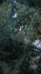 Take a deep look at our space “A Reflection of Who We Are”, an installation placed in the gardens of the Palacio de la Trinidad for this edition of @casadecoroficial. A unique piece where nature and architecture merge, and a firm statement of our commitment to sustainability爵 If you haven’t been able to enjoy it yet, you can visit it until 26th May. Designed by @summumstudio | Neolith | Facebook