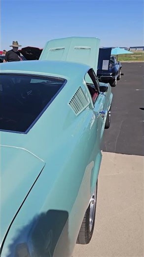 Muscle Car Madness – 1966 Ford Mustang Fastback – RARE FIND