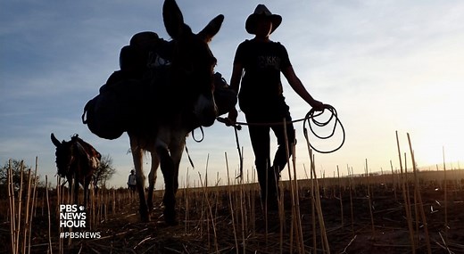 Walking the Silk Road, where globalization got started