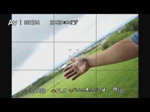 Canon RF24mm F1.8 Macro IS STM AF