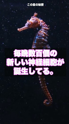 人間の脳は眠ってる間に新しい脳細胞を作ってる