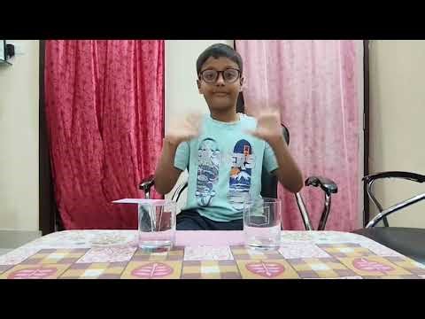 🪄 Magic of Surface Tension! Card Doesn’t Fall – Amazing Science Trick by Reyansh 💧✨