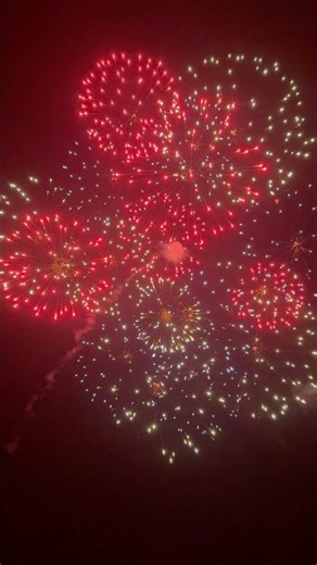 6” inch 150mm Shell of Shells Red & Gold Peony w/ Crackling Tail #fireworks #shell #pyro