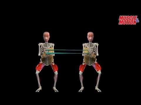 Squat with rotational force, Core stability